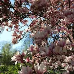 Bed & Breakfast Bel Esprit - D'hotes 3*