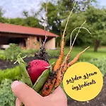 Bel Esprit - D'hotes Bed & Breakfast 3*