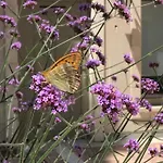 Bel Esprit - D'hotes Bed & Breakfast 3*