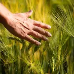 Bel Esprit - D'hotes