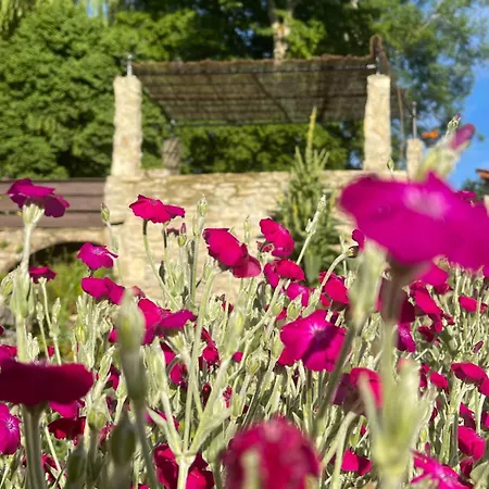 Bed and breakfast Bel Esprit - D'hotes