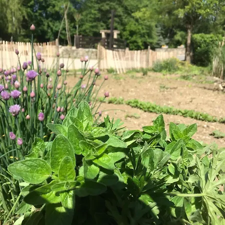 Bed & Breakfast Bel Esprit - D'hotes Kalhausen