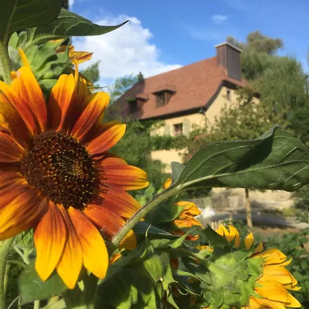 Bel Esprit - D'hotes Bed and breakfast