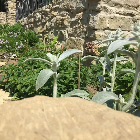 Bel Esprit - D'hotes 3* Kalhausen