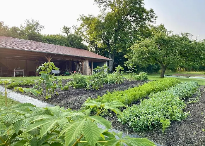 Bel Esprit - D'hotes