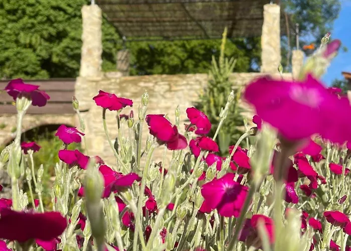 Bed & Breakfast Bel Esprit - D'hotes