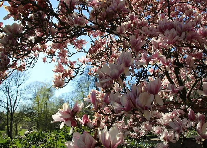 Bed & Breakfast Bel Esprit - D'hotes 3*