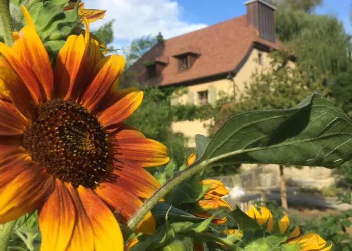 Bel Esprit - D'hotes Bed & Breakfast