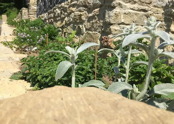 Bel Esprit - D'hotes 3* Kalhausen