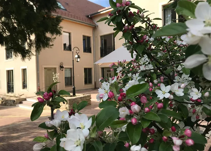 Bed & Breakfast Bel Esprit - D'hotes Kalhausen